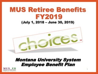 MUS Retiree Benefits
FY2019
(July 1, 2018 – June 30, 2019)
Montana University System
Employee Benefit Plan
1
 