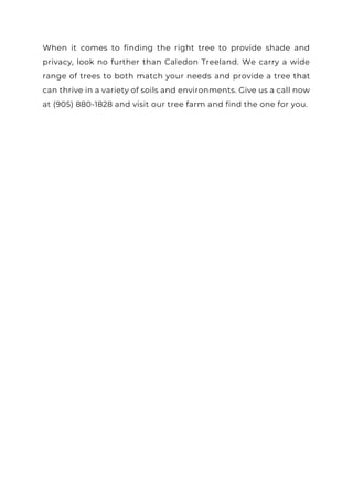 Spring Tree TLC- Your Essential Care Checklist for a Healthy Season.pdf
