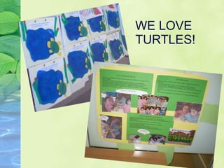 WE LOVE TURTLES! 