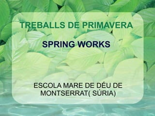 TREBALLS DE PRIMAVERA SPRING WORKS ESCOLA MARE DE DÉU DE MONTSERRAT( SÚRIA) 