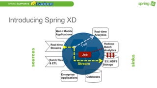 SPRING SUPPORTS
Introducing Spring XD
sources
sinks
 