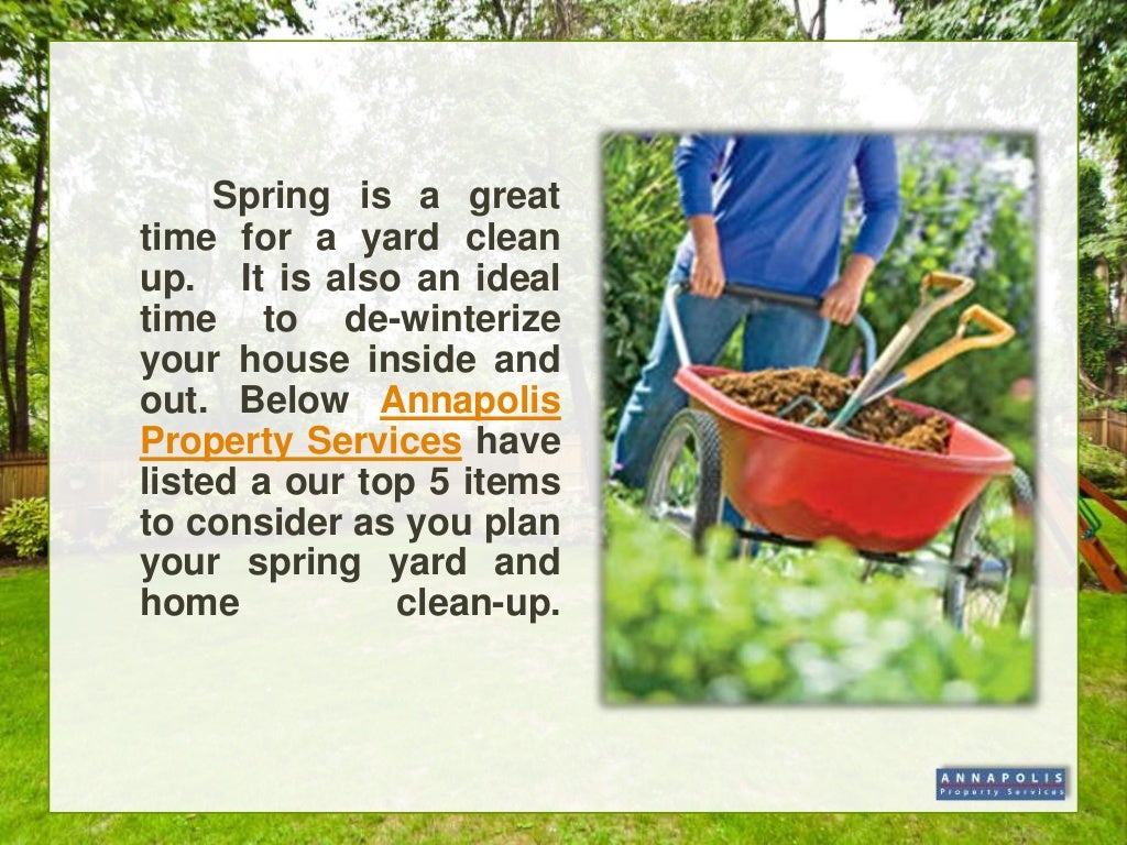 Spring yard clean up tips