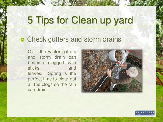 Spring Yard Clean Up Tips