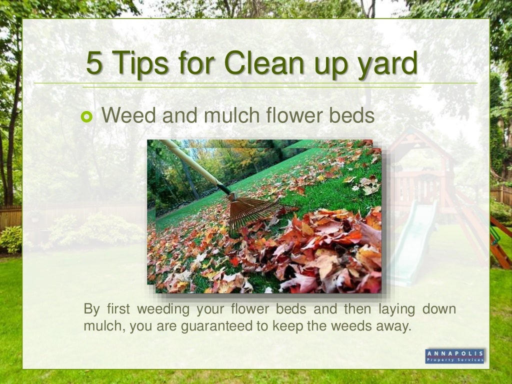 Spring yard clean up tips
