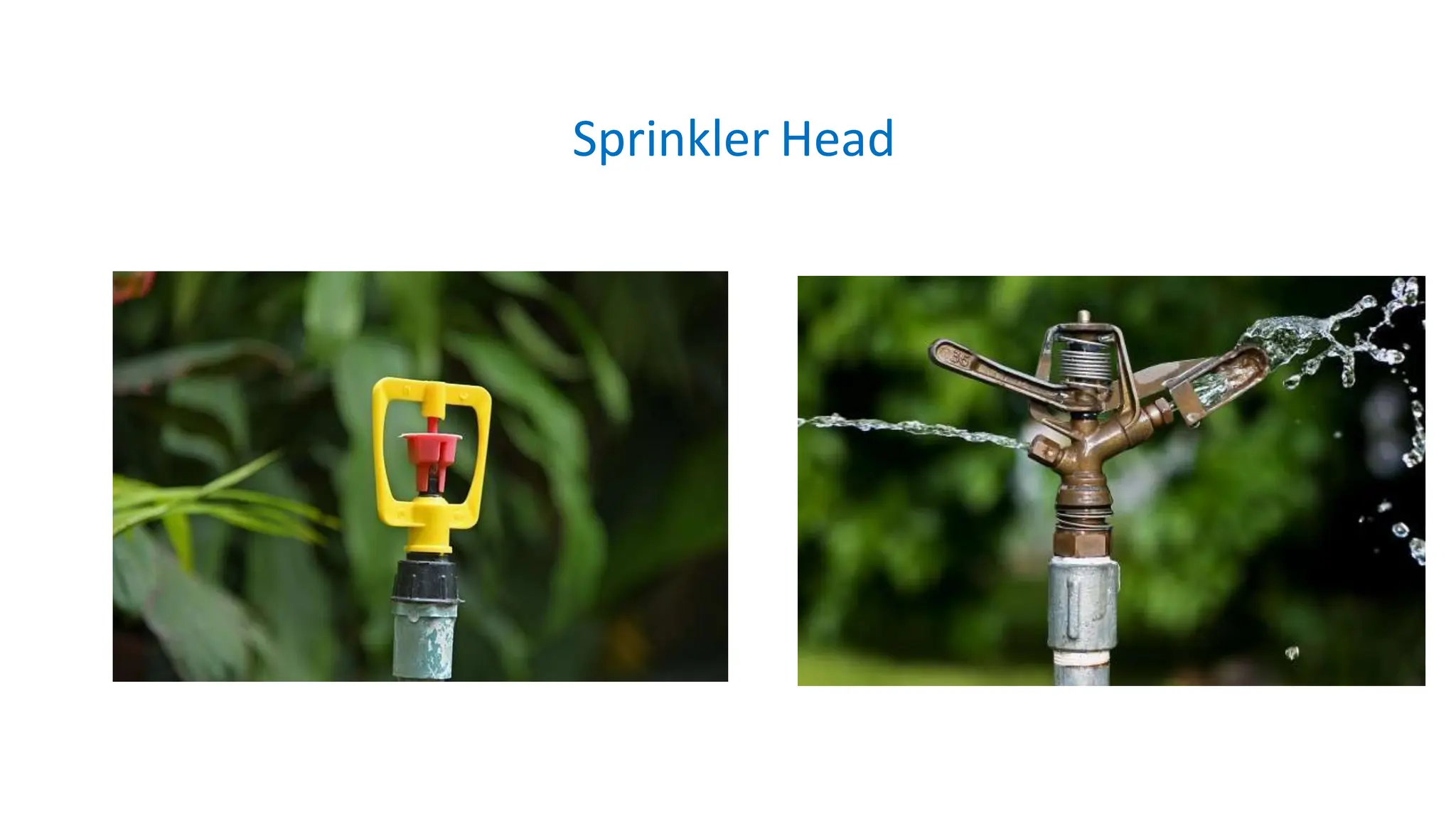 Sprinkler Head
 