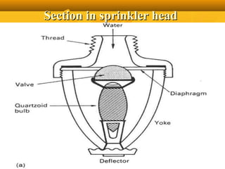 Section in sprinkler headSection in sprinkler head
 