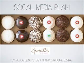 Social Media Plan

By Vanja Dekic, Susie Kim and Caroline Szpira

 