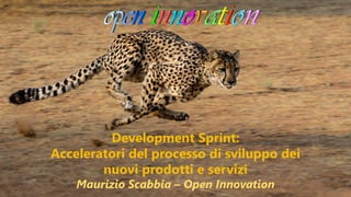 Development Sprint:
Acceleratori del processo di sviluppo dei
nuovi prodotti e servizi
Maurizio Scabbia – Open Innovation
 