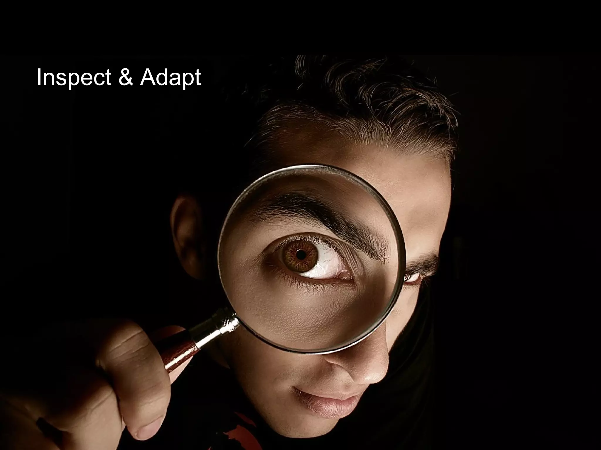 Inspect & Adapt 