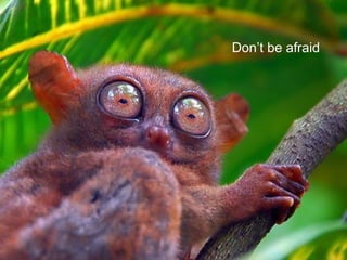 Don’t be afraid 
