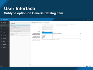 User Interface
Subtype option on Generic Catalog Item
 