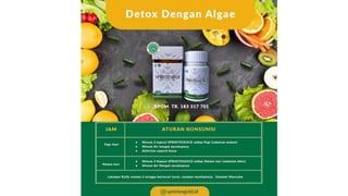 Sprintesgold Product Knowledge 2020