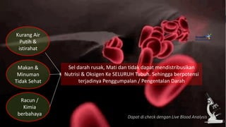 Dapat di check dengan Live Blood Analysis :
Kurang Air
Putih &
istirahat
Makan &
Minuman
Tidak Sehat
Racun /
Kimia
berbahaya
Sel darah rusak, Mati dan tidak dapat mendistribusikan
Nutrisi & Oksigen Ke SELURUH Tubuh. Sehingga berpotensi
terjadinya Penggumpalan / Pengentalan Darah
 