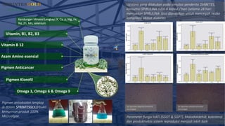 Pigmen antioksidan lengkap
di dalam SPRINTESGOLD bukti
kemurnian produk 100%
Microalgae. Parameter fungsi HATI (SGOT & SGPT), Malodialdehid, kolesterol
dan produktivitas sistem reproduksi menjadi lebih baik
Uji klinis yang dilakukan pada simulasi penderita DIABETES,
konsumsi SPIRULINA rutin 4 kapsul / hari (selama 28 hari
menjukkan SPIRULINA bisa diandalkan untuk mencegah resiko
komplikasi akibat diabetes
Sel Sperman Sebelum konsumsi
microalgae
Sel Sperman setelah konsumsi
microalgae
Kandungan Mineral Lengkap (K, Ca, p, Mg, Fe,
Na, Zn, Mn, selenium
Vitamin, B1, B2, B3
Vitamin B 12
Asam Amino esensial
Pigmen Anticancer
Pigmen Klorofil
Omega 3, Omega 6 & Omega 9
 