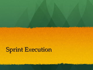 Sprint Execution 