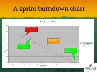 A sprint burndown chart http://agile.conscires.com/ 