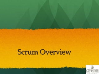 Scrum Overview 