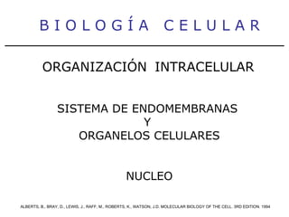 B I O L O G Í A  C E L U L A R ALBERTS, B., BRAY, D., LEWIS, J., RAFF, M., ROBERTS, K., WATSON, J.D. MOLECULAR BIOLOGY OF THE CELL. 3RD EDITION. 1994 ORGANIZACIÓN   INTRACELULAR SISTEMA DE ENDOMEMBRANAS  Y  ORGANELOS CELULARES NUCLEO 