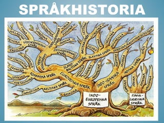 SPRÅKHISTORIA
 