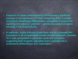 Exposure of human endometrium to UPA causes a significant
increase in the expression of Indian Hedgehog (IHH), a protein
involved in chondrocyte differentiation, and genes involved in its
signaling (smoothened, patched-1, glioma associated oncogene
homolog 1 [GLI1] and [GLI2]).
In particular, during follicular phase there was an increased IHH
expression in all compartments except stromal cytoplasm, whereas
GLI1 was upregulated in glandular nuclei and cytoplasm,
suggesting both progestin regulation and a potential role in
endometrial differentiation and implantation.
 