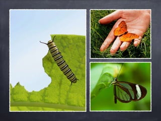 Selective progesteron reuptake modualtors