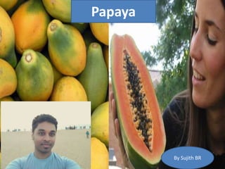 Papaya
Papaya
By Sujith BR
 