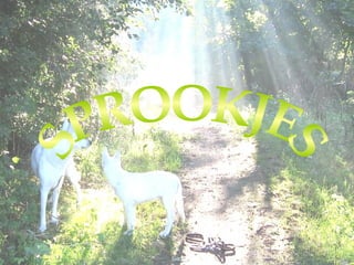 Sprookjes