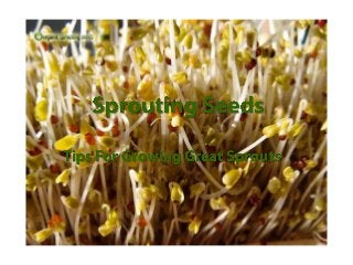 Sprouting Seeds
Tips for Growing Great Sprouts
 