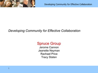 Developing Community for Effective Collaboration Spruce Group Jerome Cannon Jeanette Neyman Rachael Price Tracy Staten 