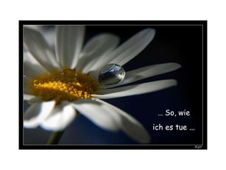 …  So, wie ich es tue ... 