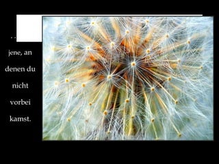 . . . An  jene , an denen du nicht vorbei kamst. 