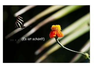 . .  .  .  (Es ist schön!!!) 