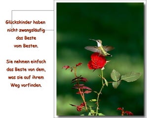 Glückskinder haben  nicht zwangsläufig das Beste vom Besten. Sie nehmen einfach das Beste von dem, was sie auf ihrem Weg vorfinden. 