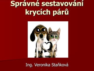 Správné sestavování krycích párů Ing. Veronika Staňková 