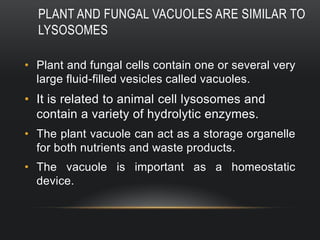 PLANT AND FUNGAL VACUOLES ARE SIMILAR TO
LYSOSOMES
• Plant and fungal cells contain one or several very
large fluid-filled vesicles called vacuoles.

• It is related to animal cell lysosomes and
contain a variety of hydrolytic enzymes.
• The plant vacuole can act as a storage organelle
for both nutrients and waste products.
• The vacuole is important as a homeostatic
device.

 