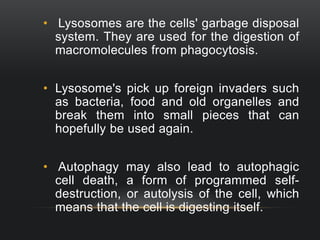 • Lysosomes are the cells' garbage disposal
system. They are used for the digestion of
macromolecules from phagocytosis.
• Lysosome's pick up foreign invaders such
as bacteria, food and old organelles and
break them into small pieces that can
hopefully be used again.
• Autophagy may also lead to autophagic
cell death, a form of programmed selfdestruction, or autolysis of the cell, which
means that the cell is digesting itself.

 