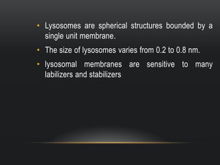 • Lysosomes are spherical structures bounded by a
single unit membrane.
• The size of lysosomes varies from 0.2 to 0.8 nm.
• lysosomal membranes are sensitive to many
labilizers and stabilizers

 