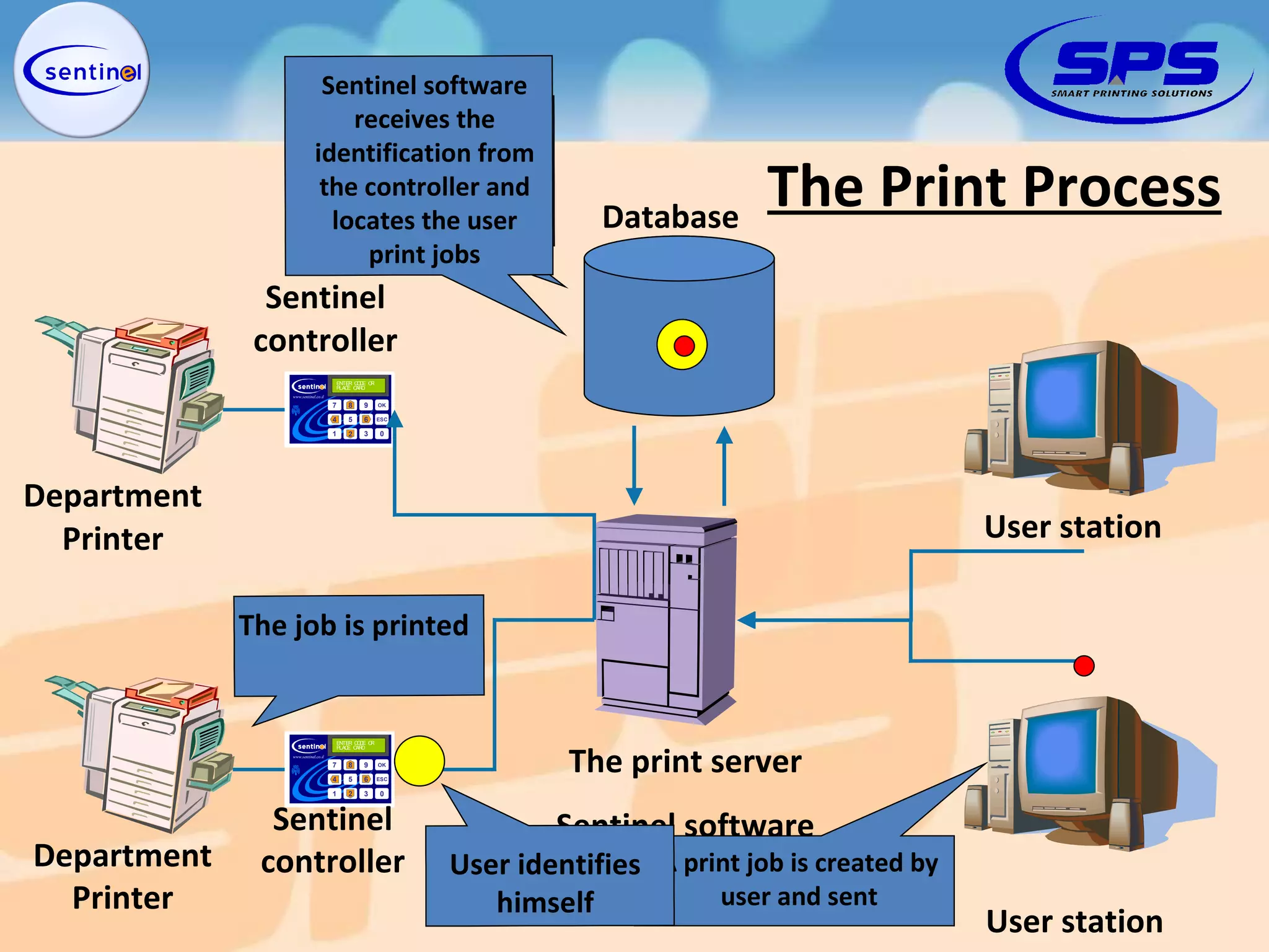 The Print Process The print server Sentinel software User station User station Department Printer Department Printer Sentinel controller Sentinel controller Database A print job is created by user and sent The job is captured and saved by Sentinel software User identifies himself The job is printed Sentinel software receives the identification from the controller and locates the user print jobs 