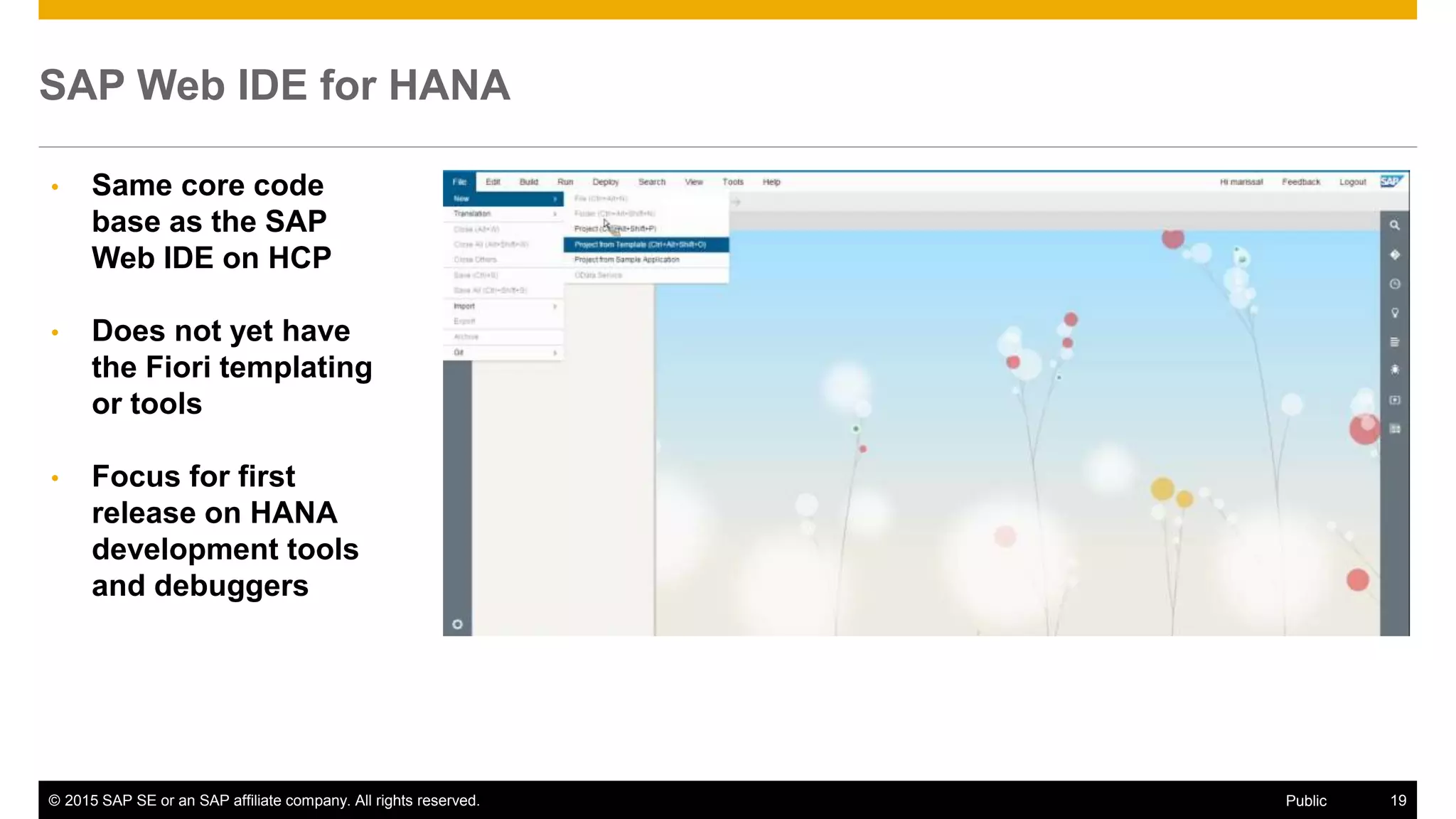 © 2015 SAP SE or an SAP affiliate company. All rights reserved. 19Public
SAP Web IDE for HANA
• Same core code
base as the SAP
Web IDE on HCP
• Does not yet have
the Fiori templating
or tools
• Focus for first
release on HANA
development tools
and debuggers
 