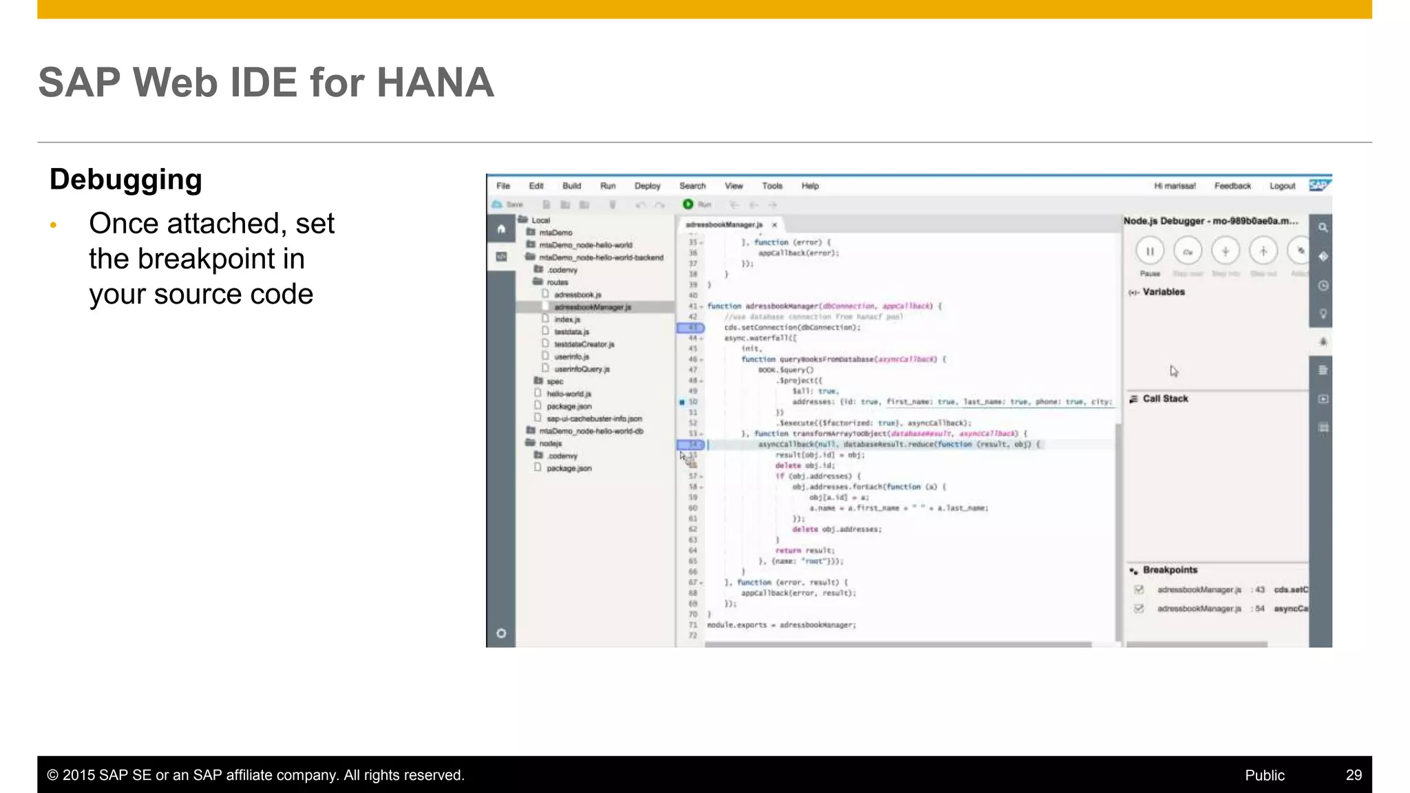 © 2015 SAP SE or an SAP affiliate company. All rights reserved. 29Public
SAP Web IDE for HANA
Debugging
• Once attached, set
the breakpoint in
your source code
 