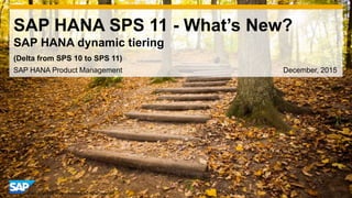 1© 2014 SAP AG or an SAP affiliate company. All rights reserved.
SAP HANA SPS 11 - What’s New?
SAP HANA dynamic tiering
SAP HANA Product Management December, 2015
(Delta from SPS 10 to SPS 11)
 
