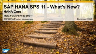 1© 2014 SAP AG or an SAP affiliate company. All rights reserved.
SAP HANA SPS 11 - What’s New?
HANA Core
SAP HANA Product Management December, 2015
(Delta from SPS 10 to SPS 11)
 