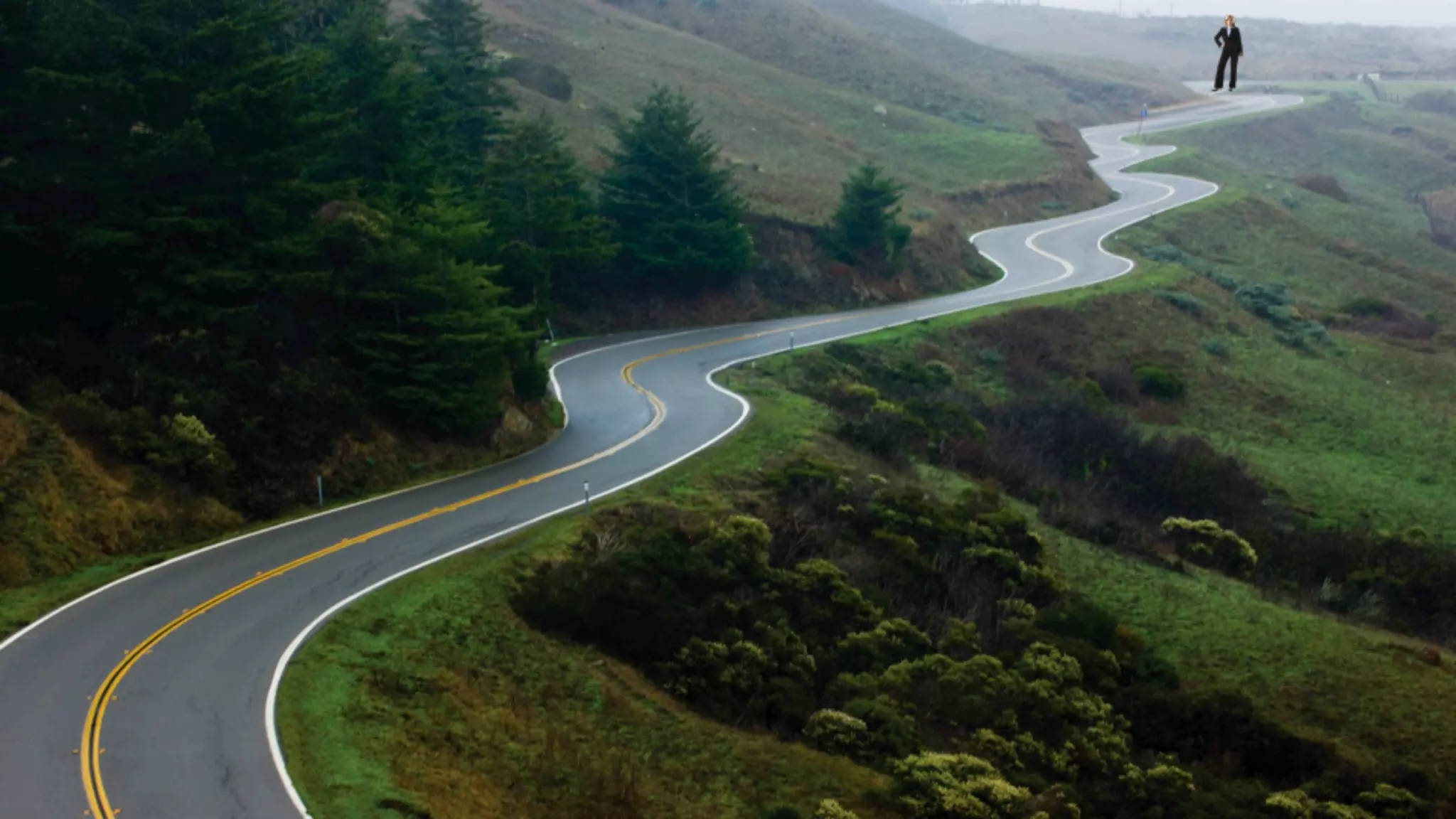 © 2014 SiriusDecisions. All Rights Reserved 
41 
 