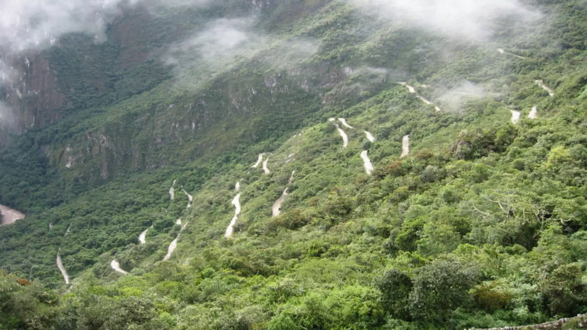 © 2014 SiriusDecisions. All Rights Reserved 
49 
 