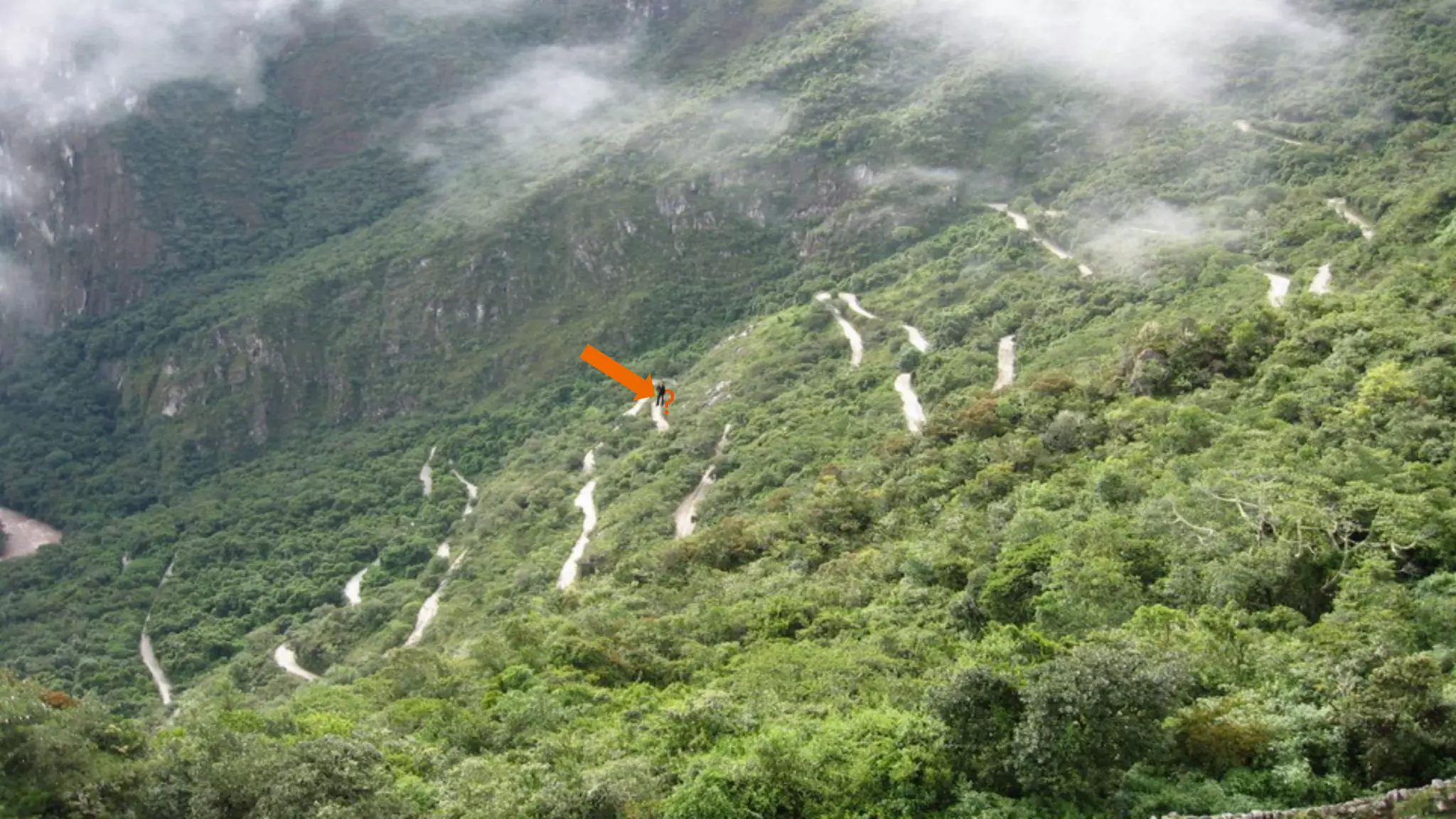 © 2014 SiriusDecisions. All Rights Reserved 
50 
? 
 