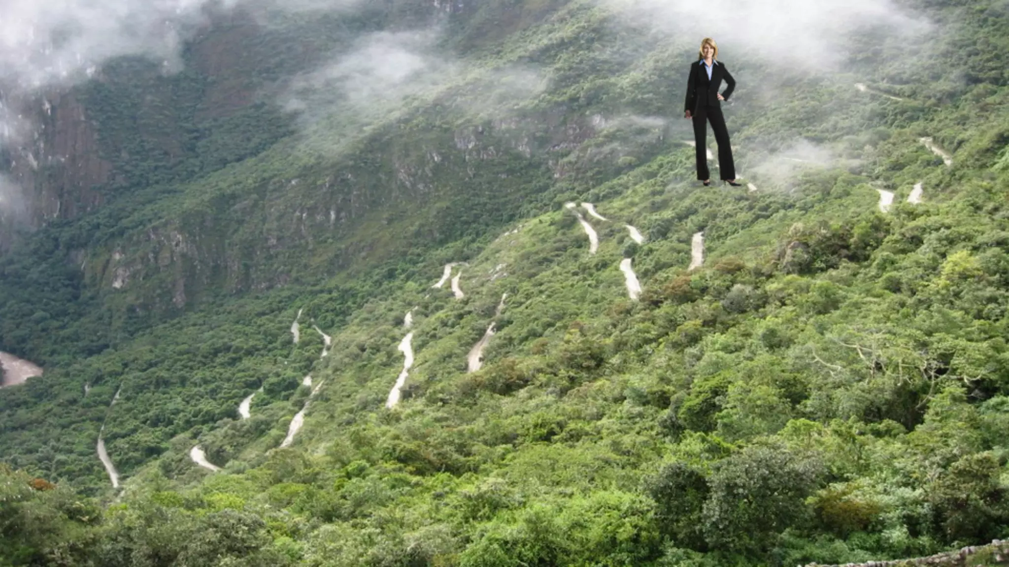 © 2014 SiriusDecisions. All Rights Reserved 
52 
 