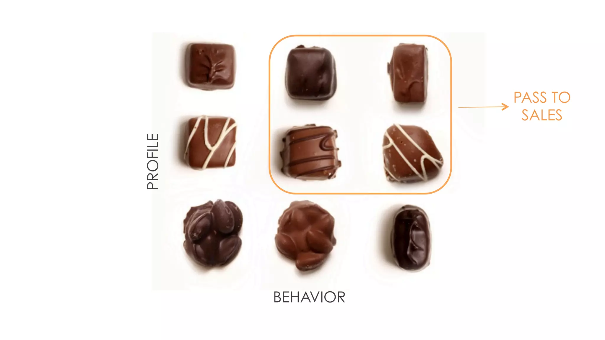 BEHAVIOR 
PROFILE 
PASS TO 
SALES 
 