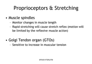 SPS451/FSRUiTM
Proprioceptors & Stretching
• Muscle spindles
– Monitor changes in muscle length
– Rapid stretching will cause stretch reflex (motion will
be limited by the reflexive muscle action)
• Golgi Tendon organ (GTOs)
– Sensitive to increase in muscular tension
 