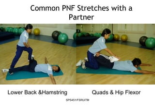 SPS451/FSRUiTM
Common PNF Stretches with a
Partner
Lower Back &Hamstring Quads & Hip Flexor
 