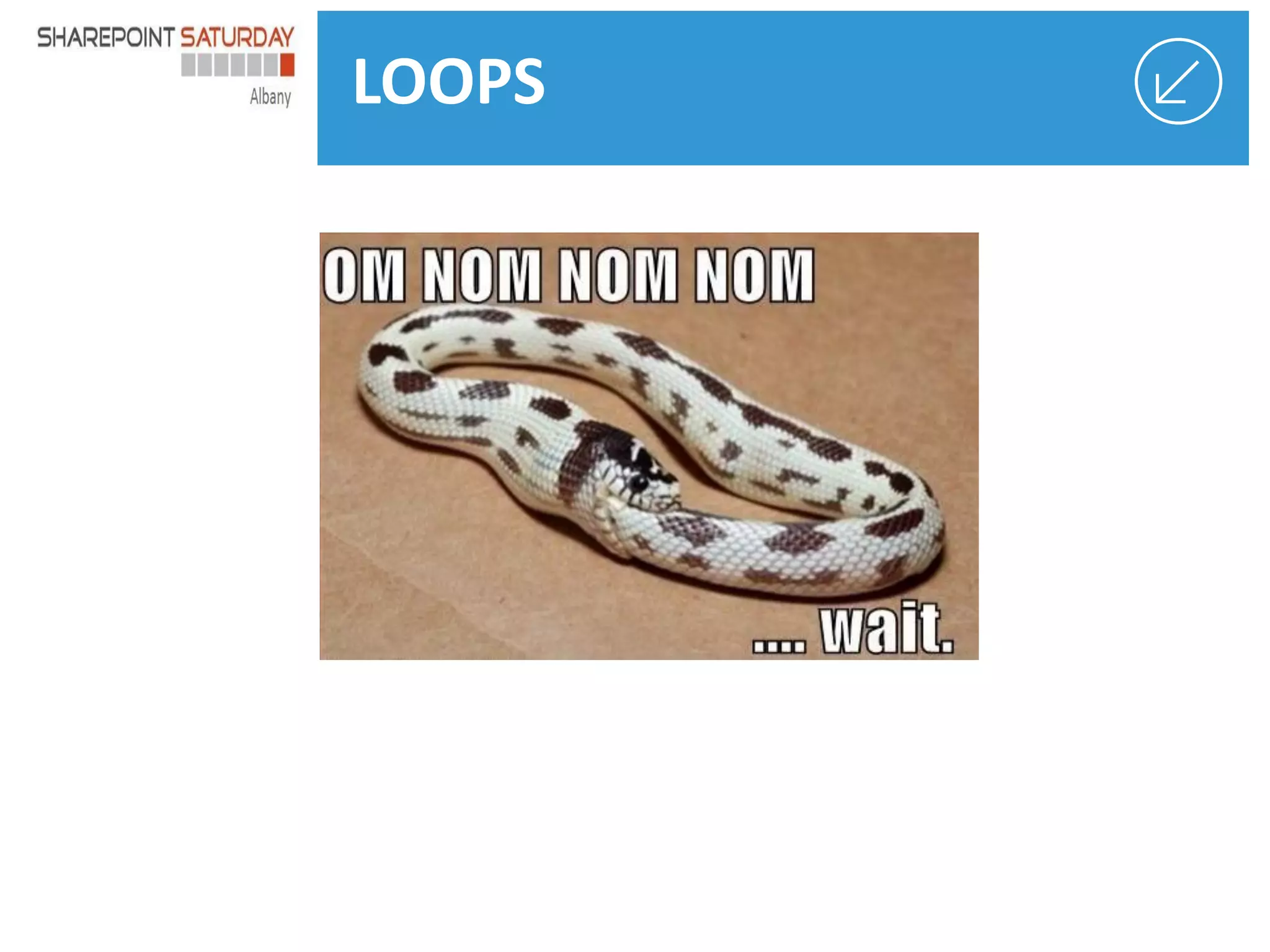 LOOPS

 